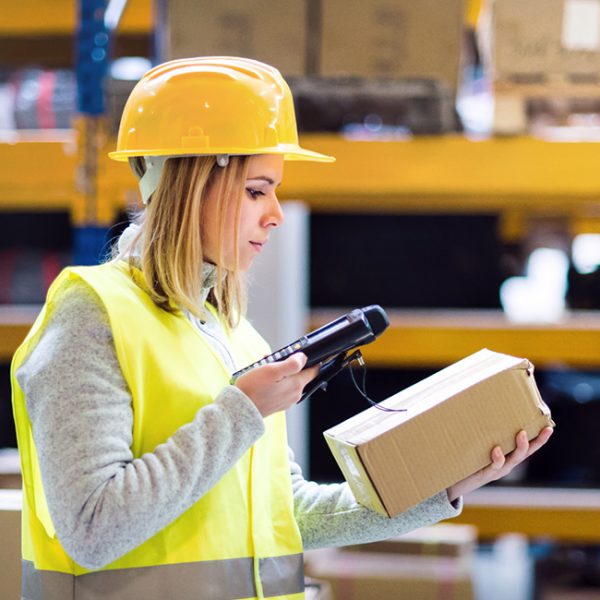 未命名的设计 (43)